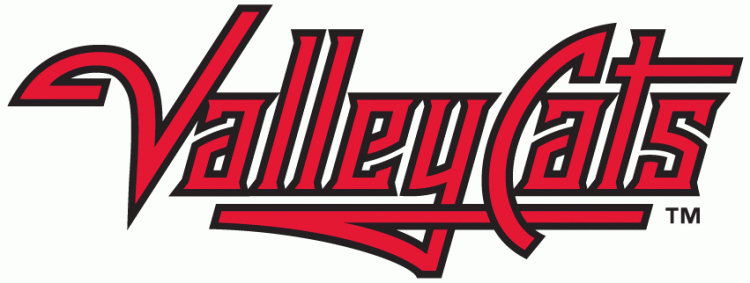 Tri-City Valleycats 2002-Pres Wordmark Logo iron on transfers for T-shirts